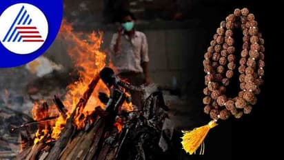  Astrology Tips : ರುದ್ರಾಕ್ಷಿ ಧರಿಸಿ ದೈಹಿಕ ಸಂಬಂಧ ಬೆಳೆಸಿದರೆ ಅಪಾಯ 