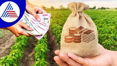 Business Ideas : 25 ಸಾವಿರ ಹೂಡಿಕೆಯ ಈ ಬ್ಯುಸಿನೆಸ್ನಲ್ಲಿ ಸಿಗುತ್ತೆ 3 ಲಕ್ಷ ಲಾಭ