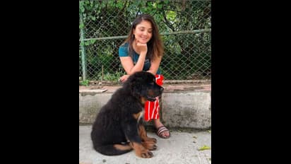 60 ಸಾವಿರ ಟಿಬೆಟಿಯನ್ ಮಾಸ್ಟಿಫ್ ನಾಯಿ ಖರೀದಿಸಿದ ಕಾರುಣ್ಯಾ!