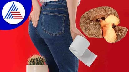 Health Tips : ಯಮ ಹಿಂಸೆ ನೀಡುವ ಮೂಲವ್ಯಾಧಿಗೆ ಇಲ್ಲಿದೆ ಮದ್ದು