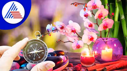 ಈ ಗಿಡ ಮನೆಯಲ್ಲಿದ್ದರೆ ಸಂಪತ್ತು ತುಂಬಿರುತ್ತೆ!