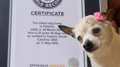 ವಿಶ್ವದ ಅತೀ ಹಿರಿಯ ಶ್ವಾನ: ಗಿನ್ನೆಸ್ ಪುಟ ಸೇರಿದ ಅಮೆರಿಕಾದ ಡಾಗ್