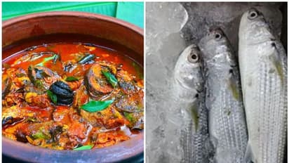 Thirutha fish Curry : കുടംപുളി ഇട്ട് വറ്റിച്ച സ്പെഷ്യൽ തിരുത മീൻ കറി ; ഇങ്ങനെ ഉണ്ടാക്കി നോക്കൂ