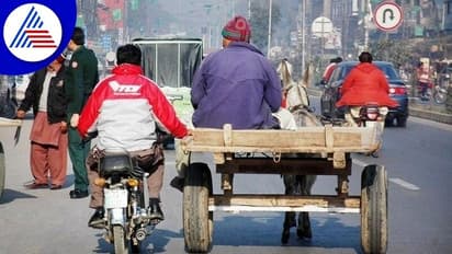 ಕತ್ತೆ ಮೇಲೆ ಆಫೀಸ್ ಗೆ ಬರ್ತೇನೆ ಪರ್ಮಿಷನ್ ಕೊಡಿ ಎಂದು ಕೇಳಿದ ಪಾಕ್ ಸರ್ಕಾರಿ ಉದ್ಯೊಗಿ!