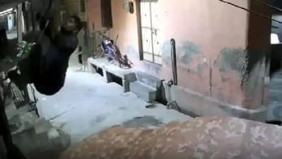 'സ്പൈഡര്‍മാന്‍' മോഡലില്‍ മോഷണം; വീഡിയോ സിസിടിവിയിൽ