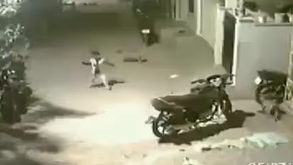 अंधेरे में पैदल जा रहे थे दो बच्चे, अचानक आए 4 कुत्ते और फिर जो हुआ आप यकीन नहीं करेंगे