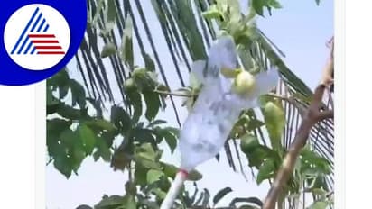 ಯುವಕನ ಖತರ್ನಾಕ್ ಐಡಿಯಾಕ್ಕೆ ಫಿದಾ ಆದ ಆನಂದ್ ಮಹೀಂದ್ರಾ: ವಿಡಿಯೋ ವೈರಲ್‌