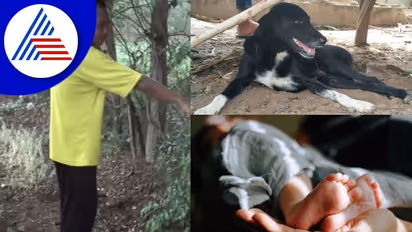 ತಾಯಿ ಎಸೆದು ಹೋದ ಕಂದನ ರಕ್ಷಿಸಿದ ಮೂರು ಕಾಲಿನ ಶ್ವಾನ