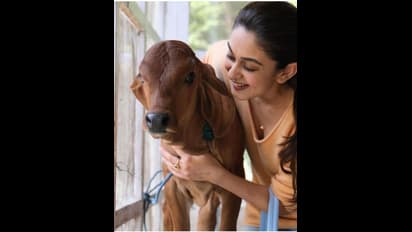 ಮುದ್ದಾದ 'ರಾಧೆ-ಕೃಷ್ಣ' ಜೊತೆ ಅರ್ಜುನ್ ಸರ್ಜಾ ಕುಟುಂಬ; ಫೋಟೋ ವೈರಲ್