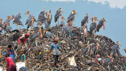 ಈ ನಗರದಲ್ಲಿ ಚಿಂದಿ ಆಯುವವರ ನಿತ್ಯದ ಆದಾಯ 5 ಕೋಟಿ ರುಪಾಯಿ!