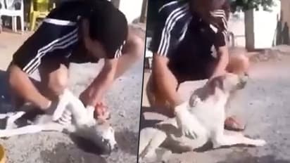 Man conducts CPR on a dog; heart-warming video goes viral