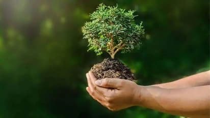 World Environment Day 2023 : പരിസ്ഥിതി ദിനത്തിൽ ജന്മനക്ഷത്ര വൃക്ഷങ്ങൾ നടാം