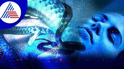 పగబట్టిన పాము! మొదటిసారి కాటేస్తే ట్రీట్మెంట్, నిలిచిన ప్రాణాలు.. రెండో సారి కాటేయడంతో వ్యక్తి మృతి