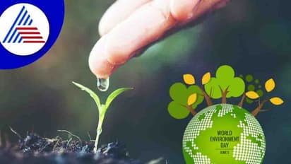 ಭೂಮಿ ತಾಯಿಯ ರಕ್ಷಣೆ, ನಮ್ಮೆಲ್ಲರ ಹೊಣೆ: ಪರಿಸರವನ್ನು ಉಳಿಸಲು ನಾವೇನು ಮಾಡಬಹುದು ?