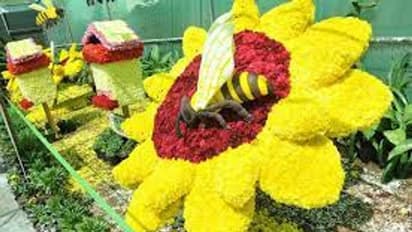 சென்னை மலர்க் கண்காட்சி.. வெறும் 2 நாட்களில் ரூ.8.35 லட்சம் கட்டணம் வசூல்.. இன்றுடன் நிறைவு..