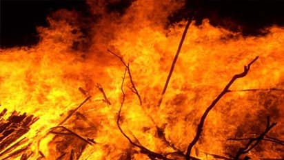 इन 6 से हमेशा पर्याप्त दूरी बनाकर रखना चाहिए, नहीं तो जान जाने का खतरा बना रहता है