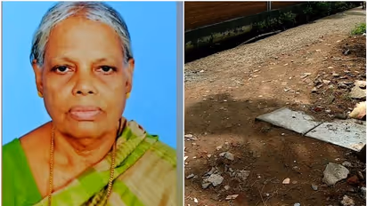 വഴിയെച്ചൊല്ലിയുള്ള തർക്കം; എറണാകുളത്ത് വീട്ടമ്മ ആത്മഹത്യ ചെയ്തു, ആരോപണം നിഷേധിച്ച് പഞ്ചായത്ത് അധികൃതർ