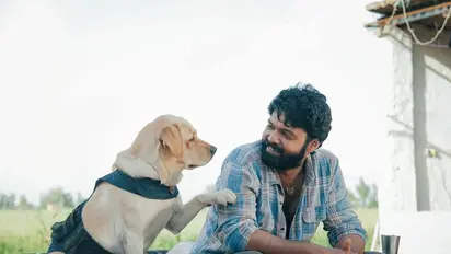 777 Charlie review: Rakshit Shetty's film touches audiences' hearts; call it an 'emotional roller coaster ride