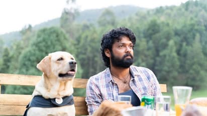 Bigg Boss Kannada 10: Rakshit Shetty's dog 'Charlie' to enter Kichcha Sudeep's reality show; read details