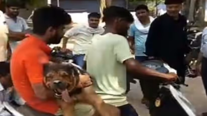 खुद गोली खाकर पालतू कुत्ते ने बचाई मालिक की जान, वफादारी की मिसाल पेश कर तोड़ दिया दम