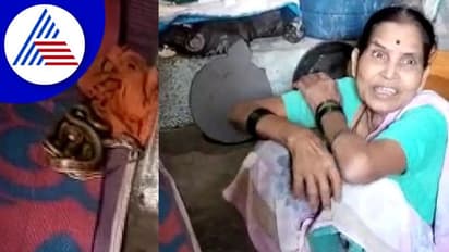వర్షం పడిన రాత్రి ఇంట్లోకి పాము.. పాలు పోసి ఇంట్లోనే ఉంచుకున్న మహిళ.. ఆమె చెప్పింది వింటే షాకవ్వాల్సిందే..