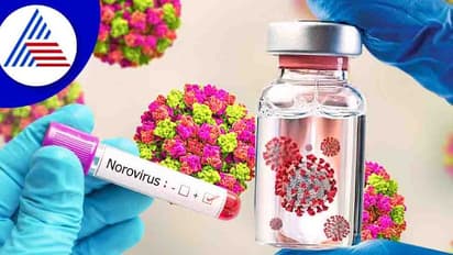 ದೇಶದಲ್ಲಿ ಕೊರೋನಾ ಮಧ್ಯೆನೇ ನೊರೋ ವೈರಸ್ ಆತಂಕ, ಇದು ಕೋವಿಡ್ನಂತೆಯೇ ಮಾರಣಾಂತಿಕವೇ ?