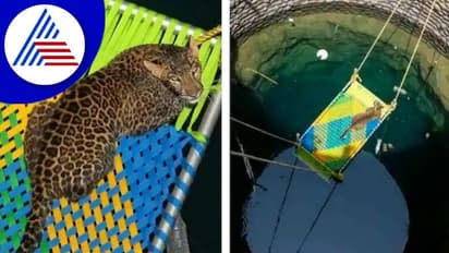 ಚಿರತೆ ರಕ್ಷಣೆಗೆ ಕೆರೆಗೆ ಮಂಚ ಇಳಿಸಿದ ಗ್ರಾಮಸ್ಥರು