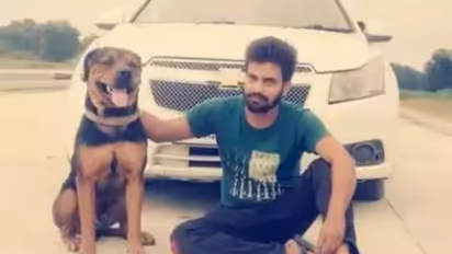 അയൽക്കാരൻ വെടിയുതിർത്തു, പാഞ്ഞുചെന്ന് തടുത്ത് നായ, ജീവൻ നഷ്ടപ്പെട്ടു