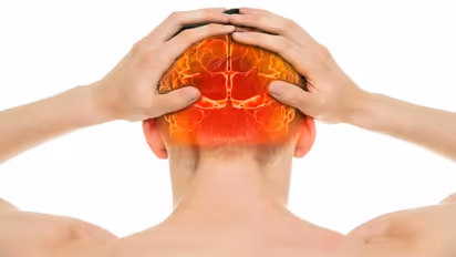 World Brain Tumor Day 2022 : ബ്രെയിൻ ട്യൂമർ; ഈ ഭക്ഷണങ്ങൾ നിർബന്ധമായും കഴിക്കണം