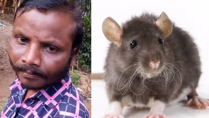 വയനാട്ടില്‍ യുവാവ് എലിപ്പനി ബാധിച്ചു മരിച്ചു, രോഗം ബാധിച്ചാൽ ശ്രദ്ധിക്കേണ്ടത്...