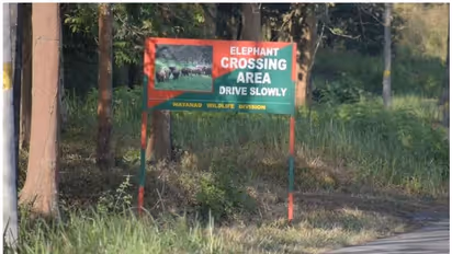 സംരക്ഷിത വനാതിര്‍ത്തിയിലെ ബഫർ സോൺ; സുപ്രീം കോടതി ഉത്തരവിനെതിരെ വയനാട്ടിൽ പ്രതിഷേധം ശക്തം