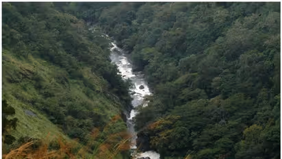     ബഫർസോണിലെ സുപ്രീം കോടതി ഉത്തരവ്; നിയമപരിശോധന തുടങ്ങി കേന്ദ്രം, പുനപരിശോധന ഹർജി നൽകുന്നതിലടക്കം ചർച്ച