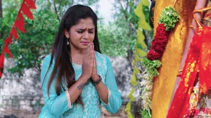 Guppedantha Manasu: నువ్వు రిషీని ప్రేమిస్తున్నావ్ వసుధార.. ప్రేమపై క్లారిటీ ఇచ్చిన గౌతమ్?