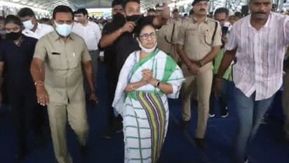 মাদলের তালে তালে মমতা, আদিবাসীদের গণবিবাহ অনুষ্ঠানে রাজ্যের মুখ্যমন্ত্রী