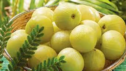 ആരോഗ്യമുള്ള മുടിയ്ക്കായി നെല്ലിക്ക ഇങ്ങനെ ഉപയോ​ഗിക്കാം 