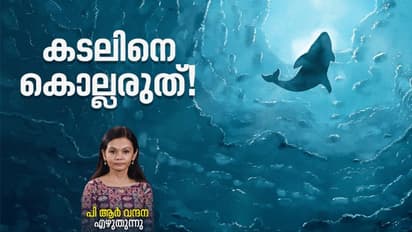 World Oceans Day 2022 : ചെമ്മീന്റെ ഹൃദയം എവിടെയാണ്, നീലത്തിമിംഗലത്തിന്റെ നാക്കിന്റെ ഭാരമറിയാമോ?