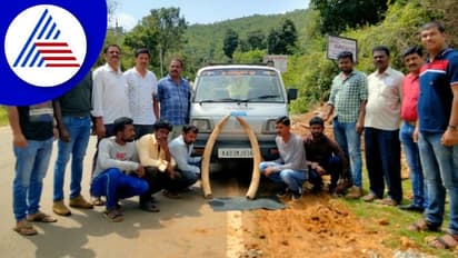 Chikkamagaluru: ಆನೆದಂತ ಮಾರಾಟ ಮಾಡಲು ಯತ್ನ: ಐವರ ಬಂಧನ