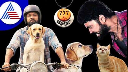 Rakshith shettyಗೆ ನಾಯಿಗಿಂತ ಬೆಕ್ಕೇ ಇಷ್ಟವಂತೆ! ಬೆಕ್ಕಿನ ಸಿನಿಮಾ ಮಾಡ್ತಾರಾ?