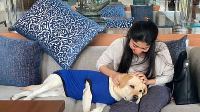 ಚಾರ್ಲಿಗಾಗಿ ಬೆಂಗಳೂರಿಗೆ ಬಂದ ಸಾಯಿ ಪಲ್ಲವಿ;  ನಾಯಿಯನ್ನು ಮುದ್ದಾಡಿದ ನಟಿ