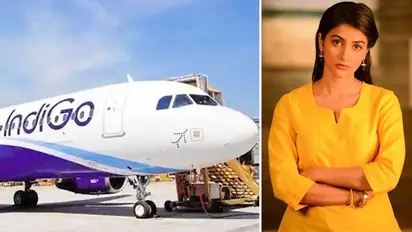 Pooja Hegde upset with IndiGo staff; actress BLASTS airline on Twitter 