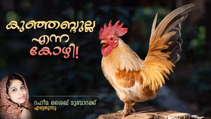 കുഞ്ഞബ്ദുല്ല എന്ന കോഴി, സൗമ്യമായ നോട്ടം, ശാന്തമായ പ്രകൃതം, പൗരുഷം നിറഞ്ഞ നടത്തം !