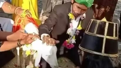 ವೈರಲ್‌ ಆಗೋದಕ್ಕೋಸ್ಕರನೇ ಹೆಣ್ಣು ಆಡಿನೊಂಡಿಗೆ ಮದುವೆಯಾದ ಗಂಡು