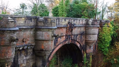 Haunted Bridge: इस रहस्यमयी पुल पर आते ही कुत्ते कूद जाते हैं नीचे, अब तक जा चुकी है 50 की जान