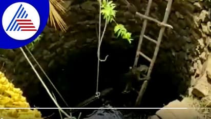 ಆಗಾಗ ಬಾವಿಗೆ ಬಿಳೋ ಚಿರತೆಗಳು: ನಿನ್ನೆ ಮಂಚ ಕಳ್ಸಿದ್ರು ಇವತ್ತು ಏಣಿ ಇಳ್ಸಿದ್ರು