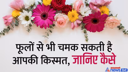 Good Luck Tips: किस दिन कौन-सा फूल साथ रखने से बढ़ता है गुड लक? ये उपाय दिला सकते हैं बड़ी सक्सेस