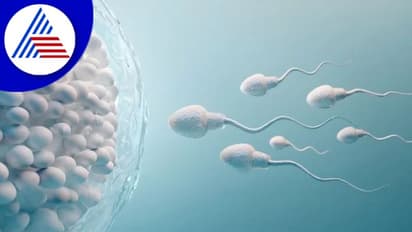 రసాయనిక కాలుష్య కాలకాల వల్ల క్షీణిస్తున్న స్పెర్ప్ నాణ్యత..!