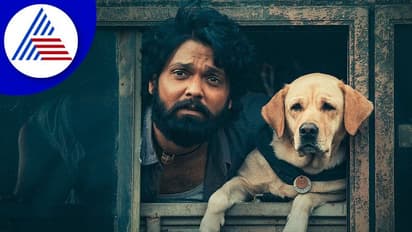 777 Charlie: ಪೈರಸಿ ತಡೆಗೆ 777 ಚಾರ್ಲಿ ತಂಡದ ವಿಶೇಷ ಪ್ರಯತ್ನ