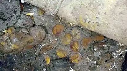 1708ರಲ್ಲಿ ಮುಳುಗಿದ ನೌಕೆಯಲ್ಲಿ ರಾಶಿ ರಾಶಿ ಚಿನ್ನ: 1.3 ಲಕ್ಷ ಕೋಟಿ ರು. ಮೌಲ್ಯದ ಬಂಗಾರ ಪತ್ತೆ!