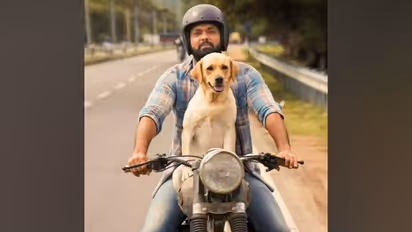 777 Charlie: Where is Charlie? What is he doing these days? Here's a good news