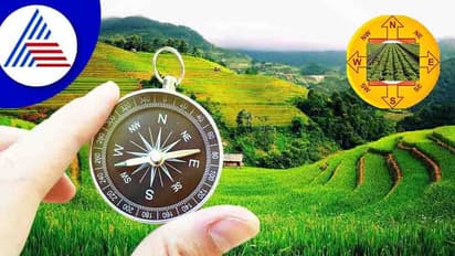 Vastu Tips: ಈ ಆಕಾರದ ಭೂಮಿ ಖರೀದಿಸಿದ್ರೆ ಲೈಫ್ ಬರ್ಬಾದ್ ಆಗೋದು ಗ್ಯಾರಂಟಿ!